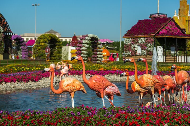 Memorable Evening at Dubai Global Village with Dubai Miracle Garden Visit !! - Image 2