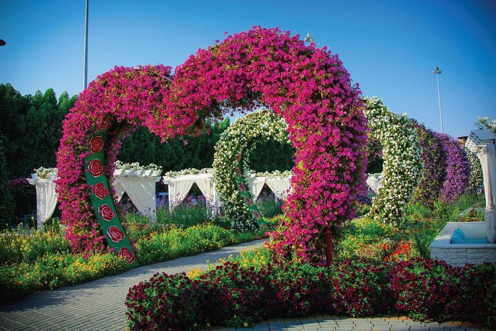 Miracle Garden: Dubai Flora and Fauna 4-Hour Tour - Image 1