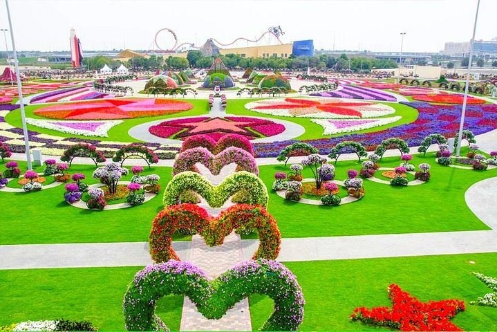 Miracle Garden: Dubai Flora and Fauna 4-Hour Tour - Image 3