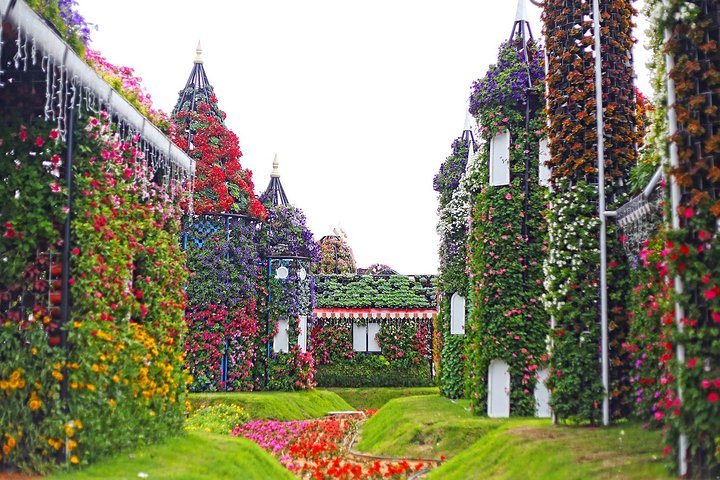Miracle Garden: Dubai Flora and Fauna 4-Hour Tour - Image 5