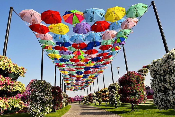 Miracle Garden: Dubai Flora and Fauna 4-Hour Tour - Image 4