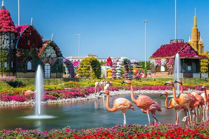 Miracle Garden Dubai Including Pickup & Drop Off - Image 5