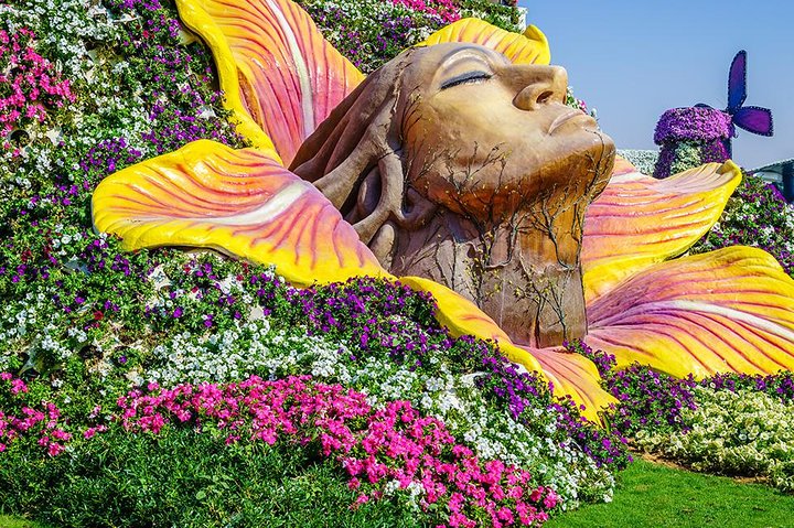 Miracle Garden Dubai Including Pickup & Drop Off - Image 2