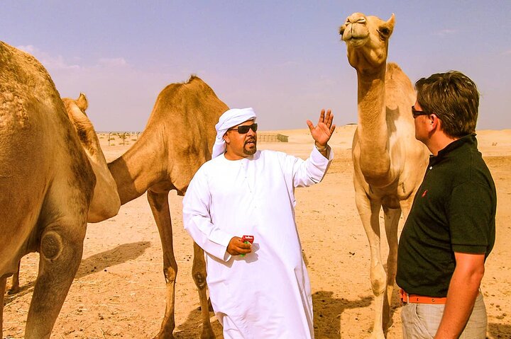 Morning Camel Safari Tour with Breakfast - Image 3