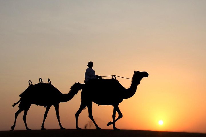 Morning Camel Trekking Experience - Image 1