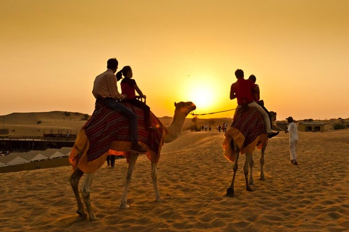 Morning Camel Trekking Experience - Image 2