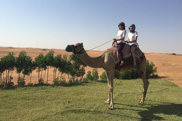  Morning Camel Trekking Over the Red Sand Dunes - Image 2