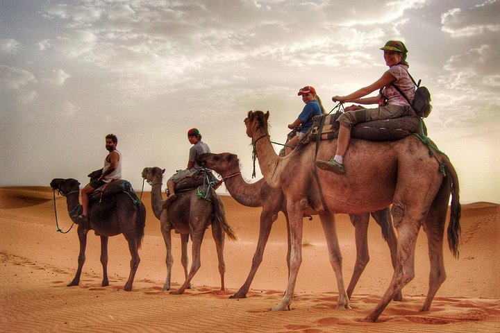 Morning Camel Trekking with Dune Bashing and Sand Boarding - Image 1