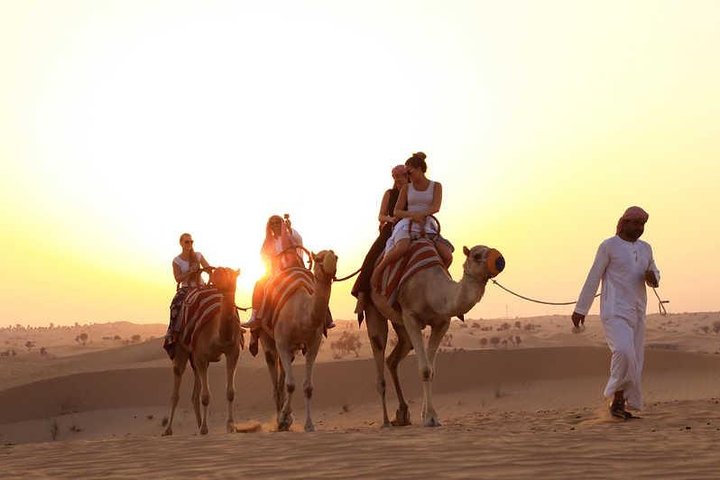 Morning Camel Trekking with Dune Bashing and Sand Boarding - Image 5