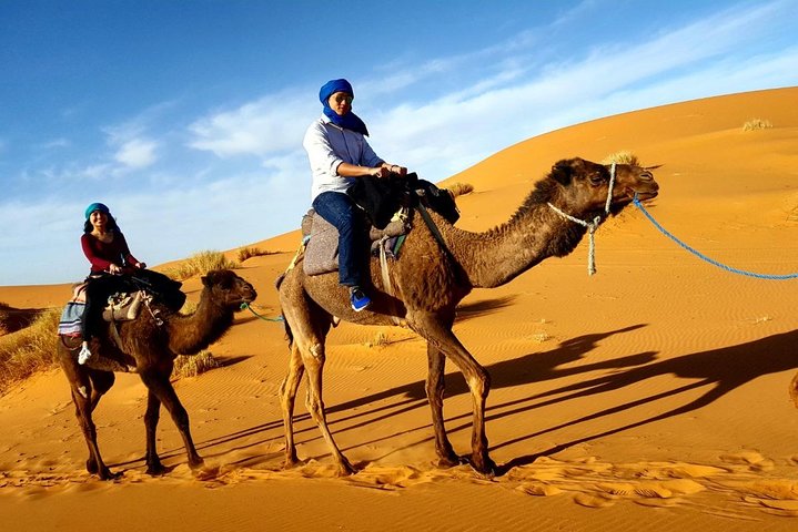 Morning Camel Trekking with Dune Bashing and Sand Boarding - Image 3