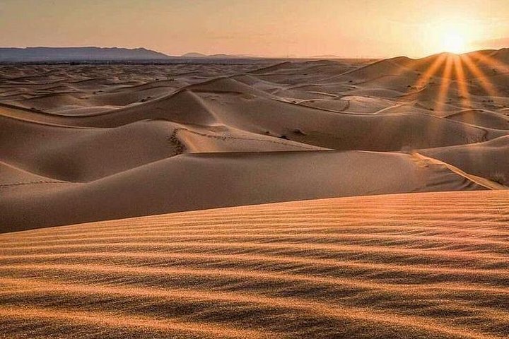 Morning Desert Safari - Image 3