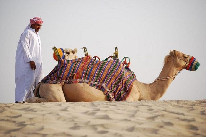 Morning Desert Safari Dubai - Image 4