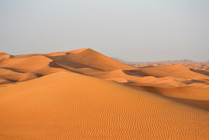Morning Desert Safari in Red Dunes & Sand Boarding with Photography from Dubai - Image 4