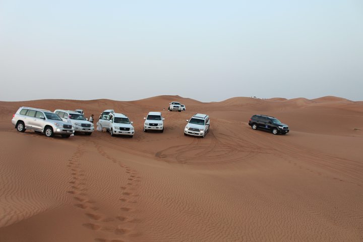 Morning Desert Safari on Red Dunes with Sand Boarding & Optional Quad Biking - Image 4