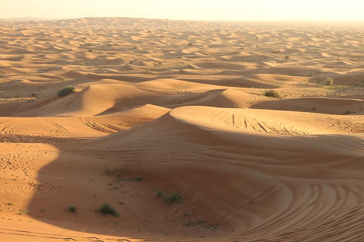 Morning Desert Safari on Red Dunes with Sand Boarding & Optional Quad Biking - Image 1