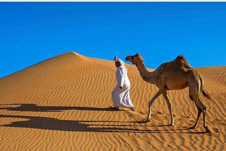 Morning Desert Safari with Camel Ride and Quad Bike - Image 5