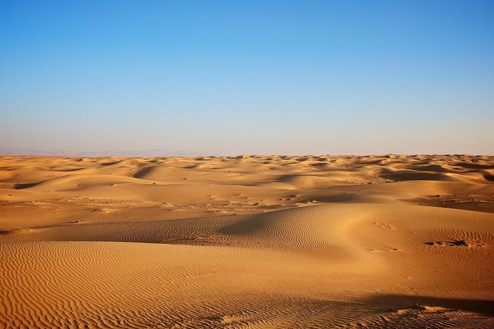 Morning Desert Safari with Camel Ride and Quad Bike Riding - Image 3
