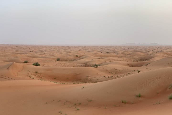 Morning Desert Safari with Camel Ride and Quad Bike Riding - Image 4