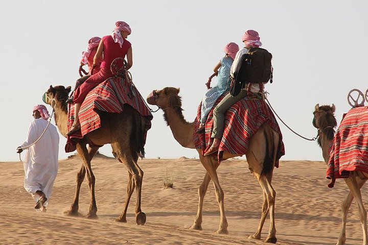 Morning Desert Safari with Camel Ride and Sand boarding - Image 4