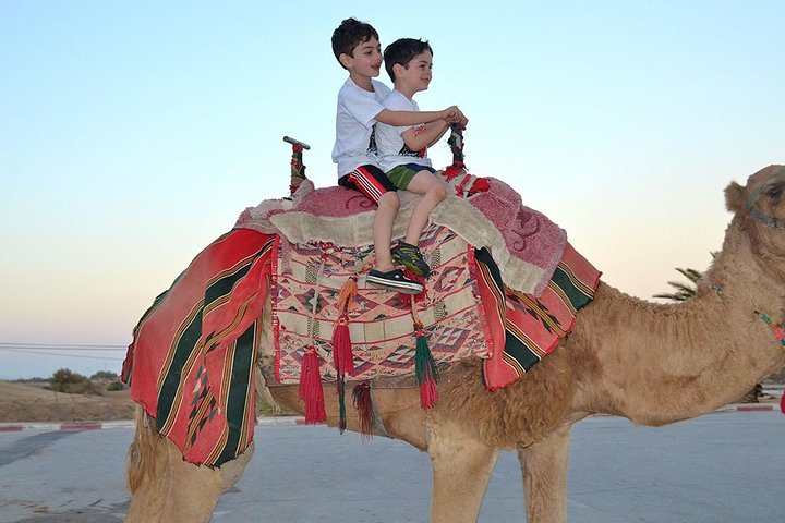Morning Desert Safari with Camel Ride and Sand boarding - Image 3