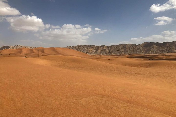 Morning Desert Safari with Camel Rides, Sand Boards and Dune Bashing - Image 4