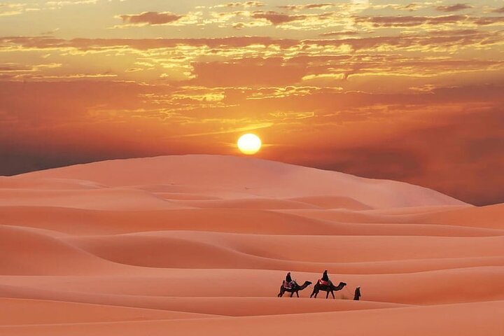 Morning Desert Safari with Dubai City Tour & Evening Dhow Cruise - Image 5