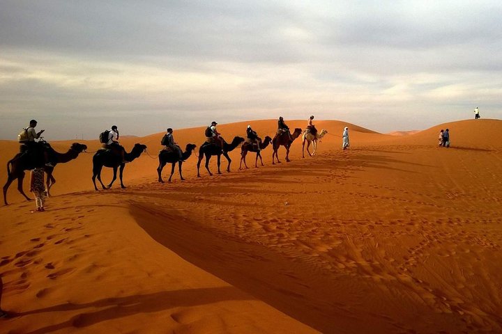 Morning Desert Safari with Long Camel Ride - Image 1