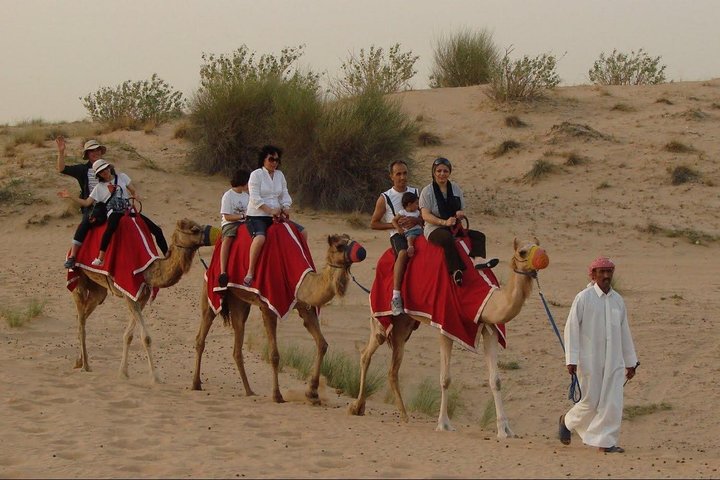 Morning Desert Safari with Long Camel Ride - Image 3