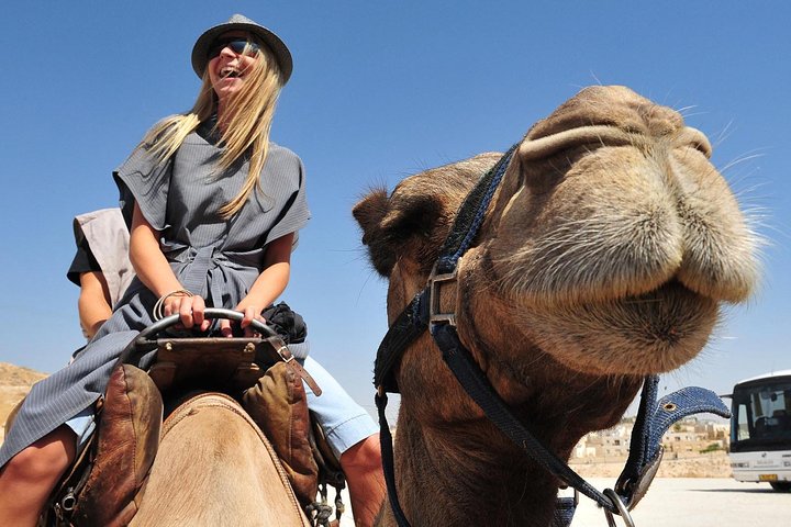 Morning Dubai Quad Bike with Sand boarding and Camel ride  - Image 4