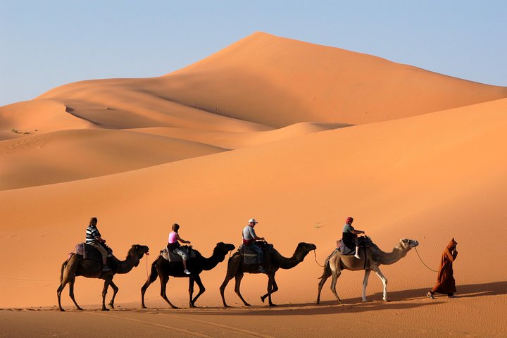 Morning Dubai Quad Bike with Sand boarding and Camel ride  - Image 2