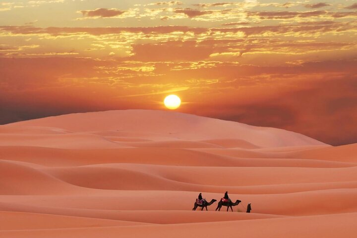 Morning Quad Biking & Red Sand Desert Safari , Camel Ride, Sand Boarding  - Image 2