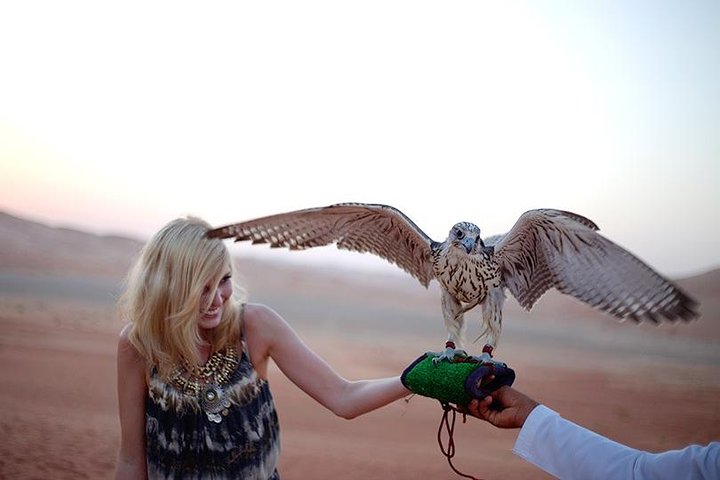 Morning Red Desert Safari With Camel Ride Dubai - Image 2