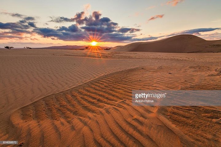 Morning Red Desert Safari With Camel Ride Dubai - Image 4