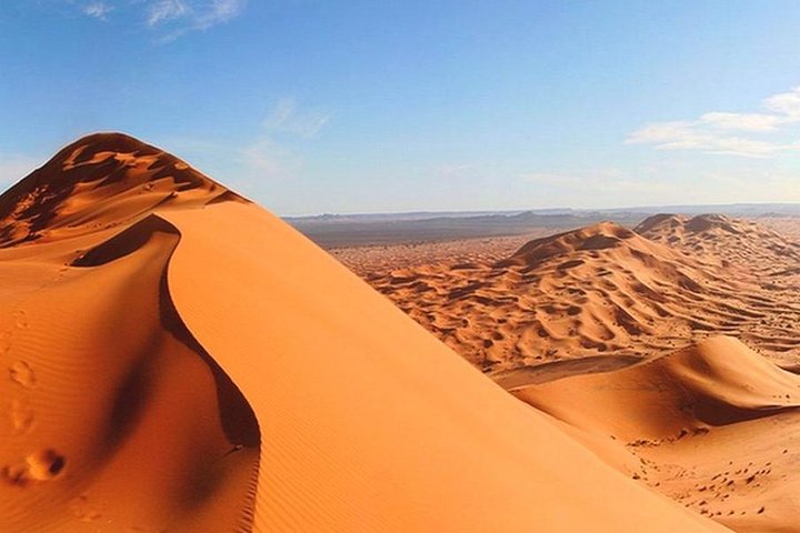 Morning Red Desert Safari With Camel Ride Dubai - Image 3