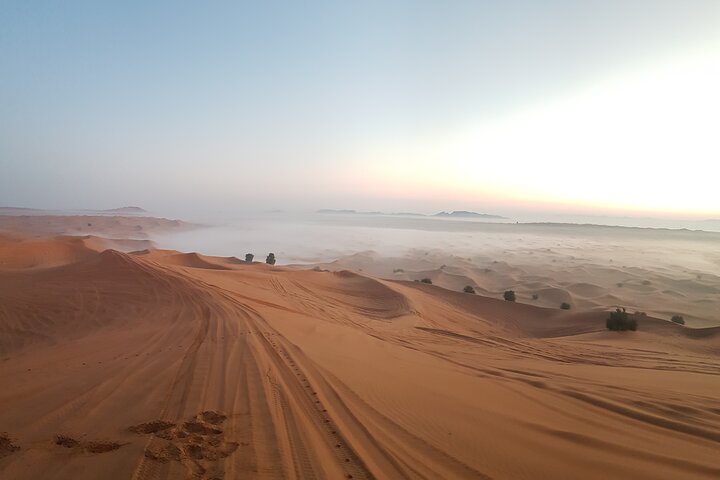 Morning Red Dune Desert Safari in Dubai with Camel Ride and Sand Boarding - Image 3