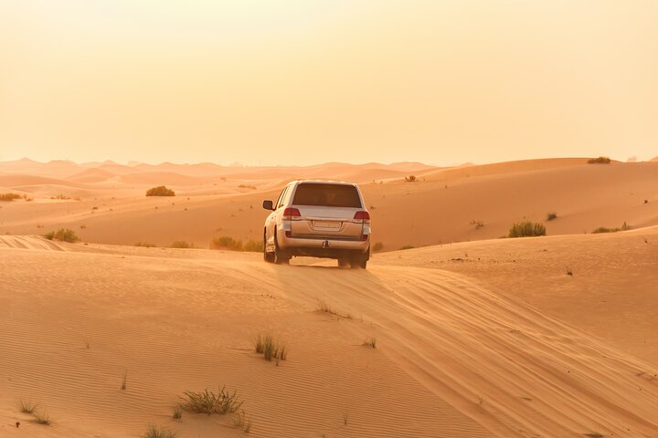 Morning Red Dune Desert Safari with Sandboarding, camelride & more - Image 4
