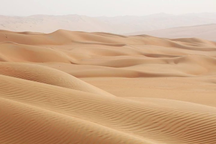 Morning Red Dunes by Quad Bike, Camel Ride and Sandboarding - Image 5