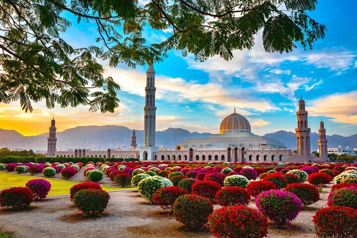 Muscat City Tour from Dubai with free visa & Omani lunch - Image 1