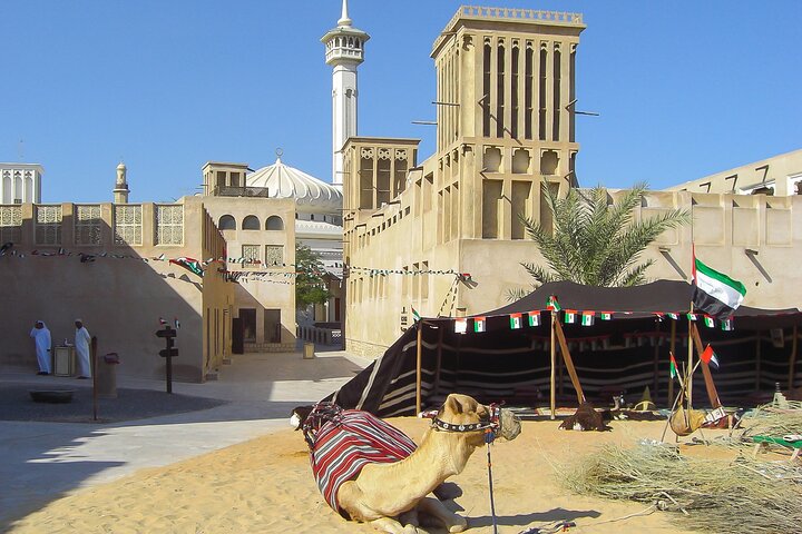Old & Modern Dubai Full Day Private Tour with Blue Mosque Visit - Image 5