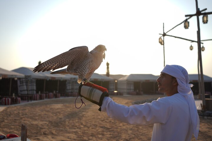 Overnight Desert Experience with safari and BBQ Dinner - Image 4