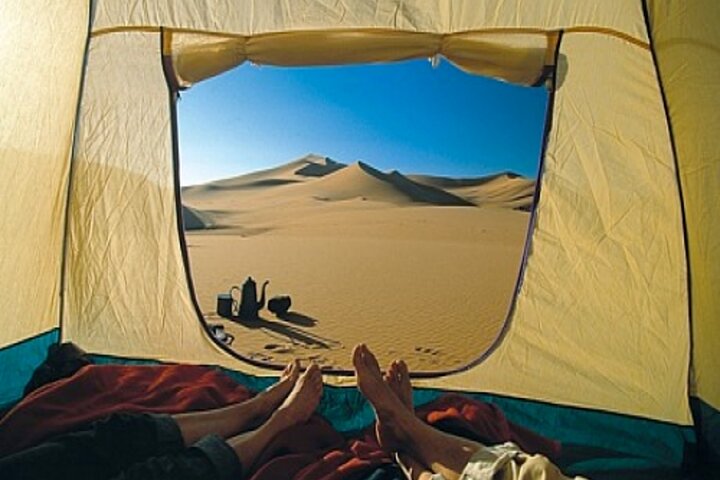 Overnight Desert Safari with BBQ Dinner and Breakfast  - Image 5