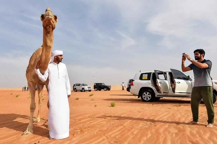 Overnight Dubai Desert Camping- Camel and 4x4 Safari with BBQ and Belly Dance - Image 5