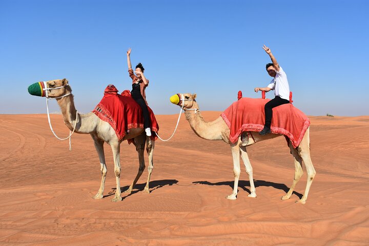 Polaris RZR 1000cc self drive 4 seats Camel Ride and Sandboarding - Image 2