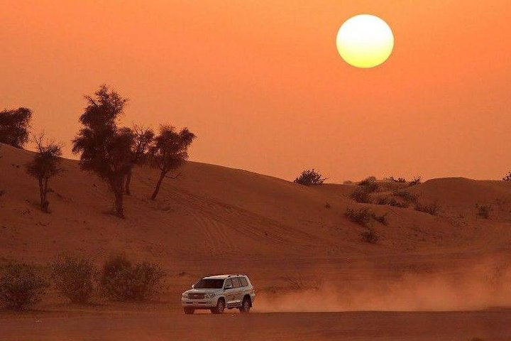 Premium Desert Safari, Barbeque, 3 Shows, Camel ride, Sand-board at Bedouin camp - Image 2