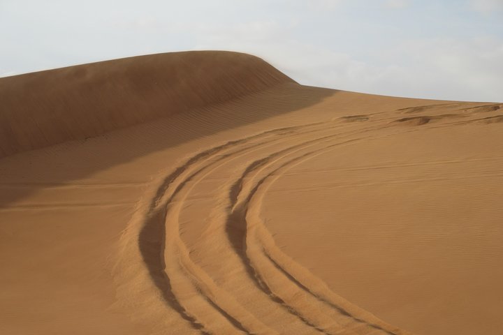 Premium Desert Safari, Barbeque, 3 Shows, Camel ride, Sand-board at Bedouin camp - Image 4