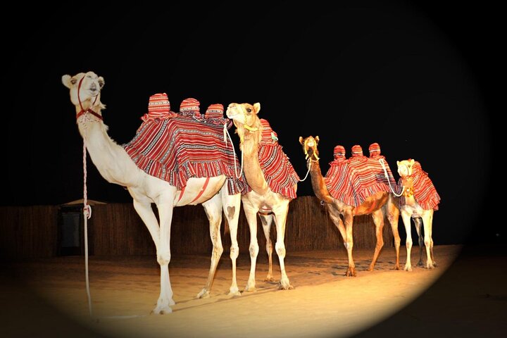Premium Desert Safari, Live BBQ Dinner, Sandboarding & Camel Ride (Private car) - Image 3