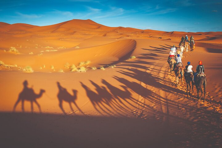 Premium Desert Safari with Barbeque Dinner - Image 3
