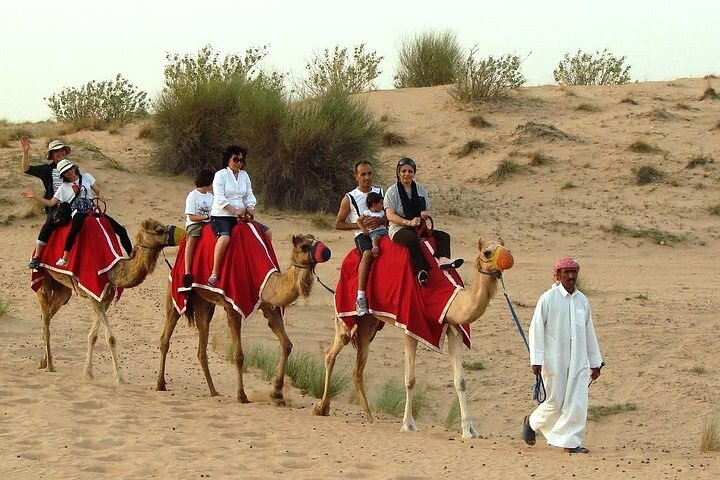 Premium Desert Safari with BBQ Dinner,Belly Dance,Camel Riding & Sand Boarding - Image 3