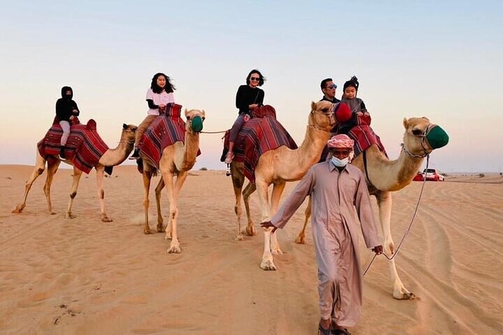 Premium Dubai Red Dunes with quadbike, camel ride and VIP Dinner - Image 4