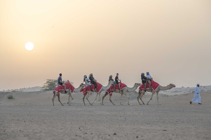 Premium Red Dunes Bashing with Quad Bike, Camel, Falcon &VIP Camp - Image 4